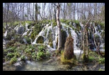Plitvice -12-04-2026 - Bogdan Balaban